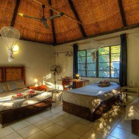 Okavango River Lodge 马翁 外观 照片